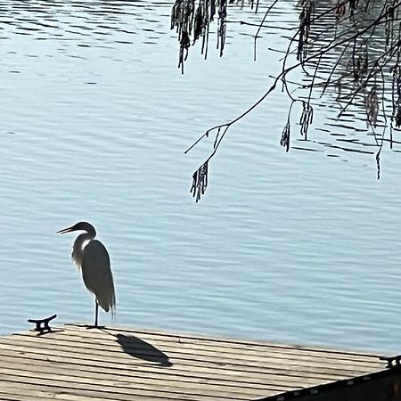 Kingwood Cottage - 10 Mins From Iah - Lake Front Humble Luaran gambar