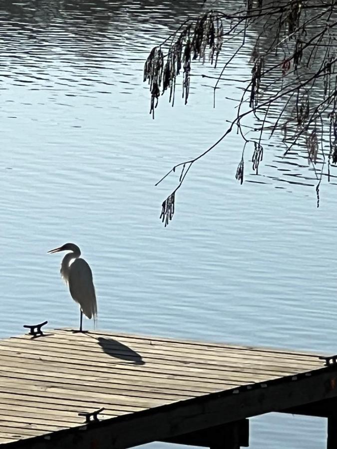 Kingwood Cottage - 10 Mins From Iah - Lake Front Humble Luaran gambar
